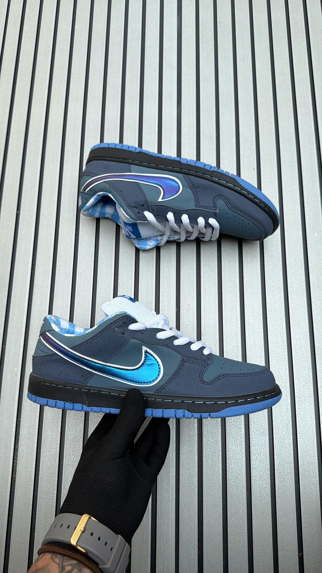 Nike SB Dunk lobestar