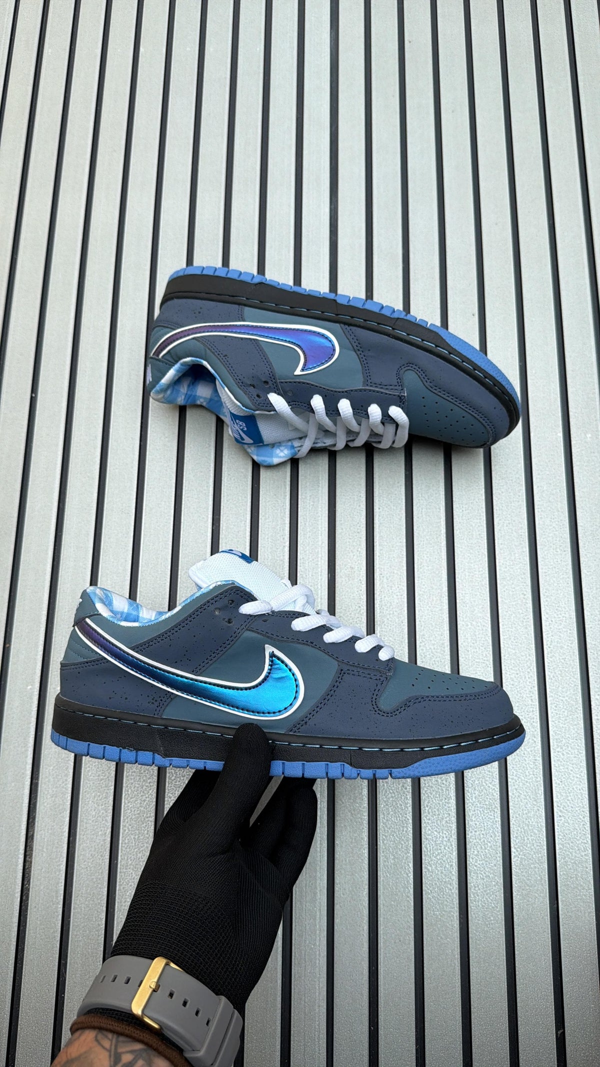 Nike SB Dunk lobestar