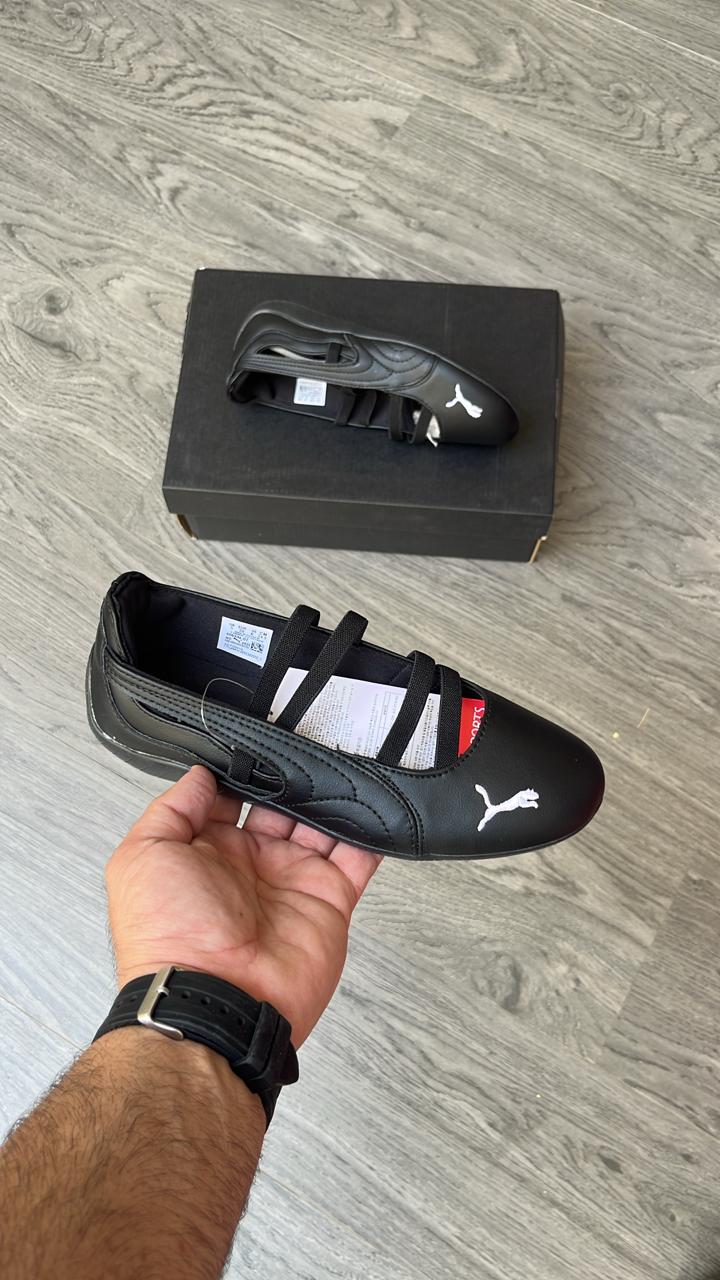 Puma cat belly all black
