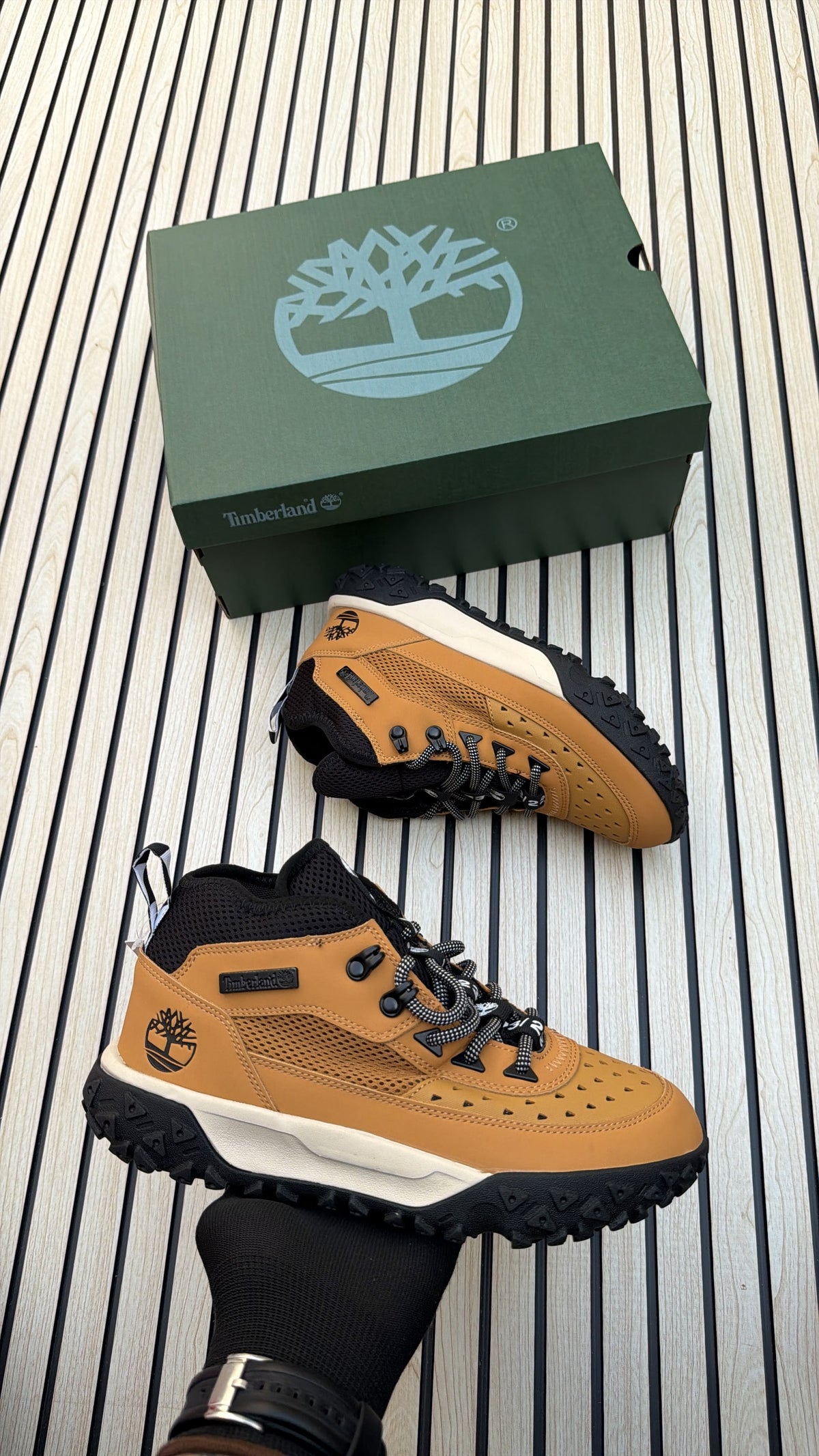 Timberland motion 6