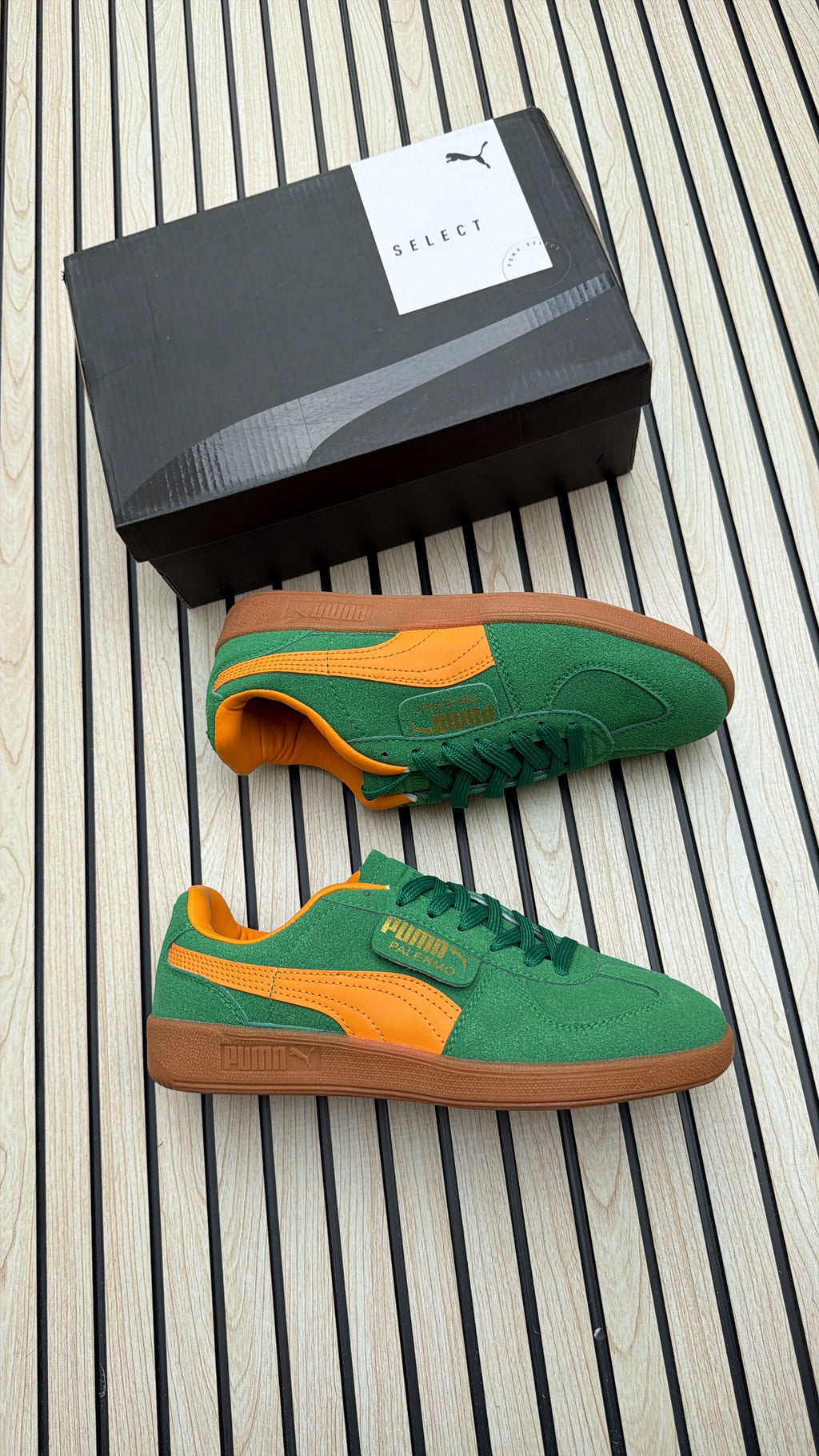 Puma palermo