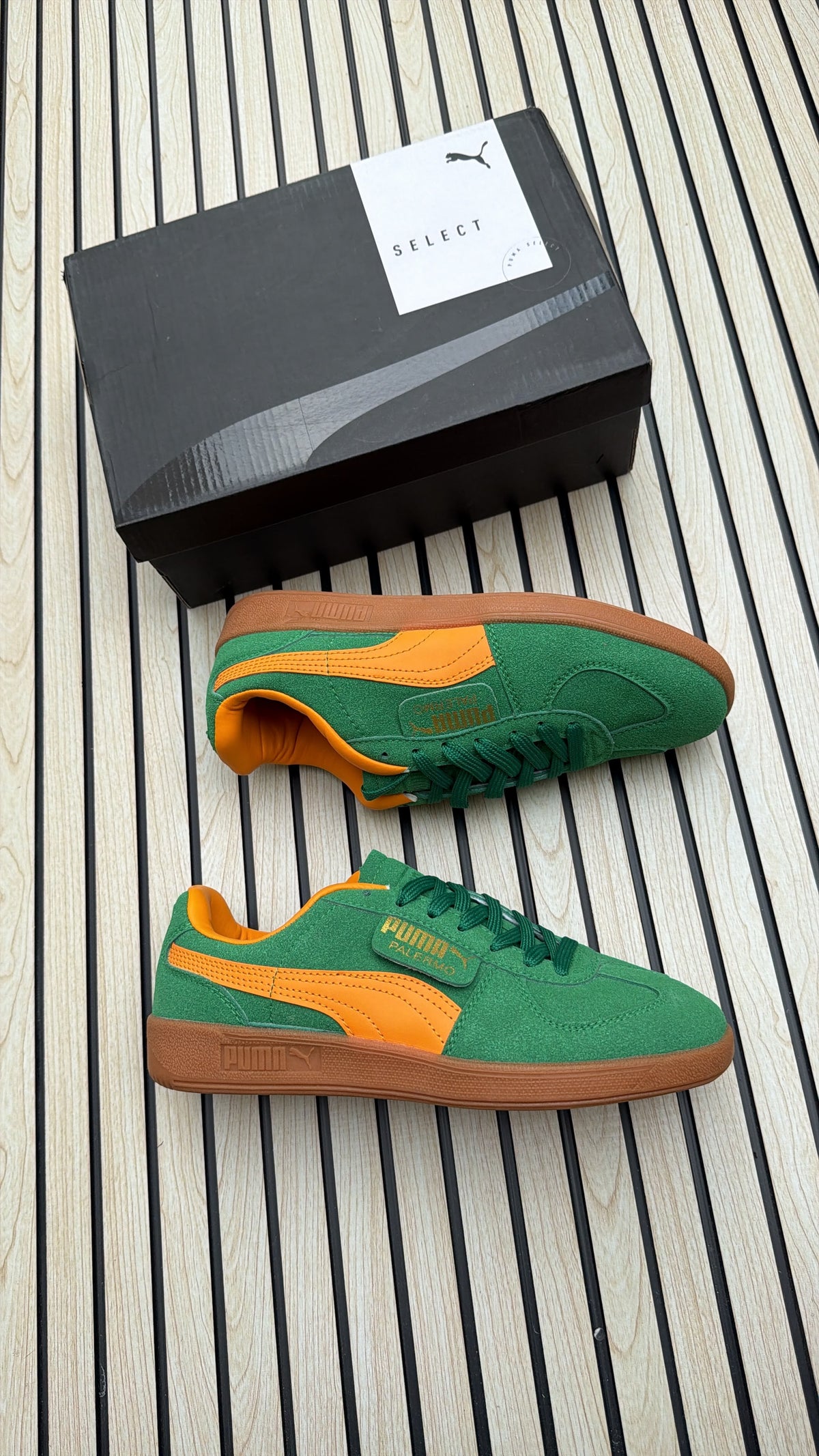 Puma palermo