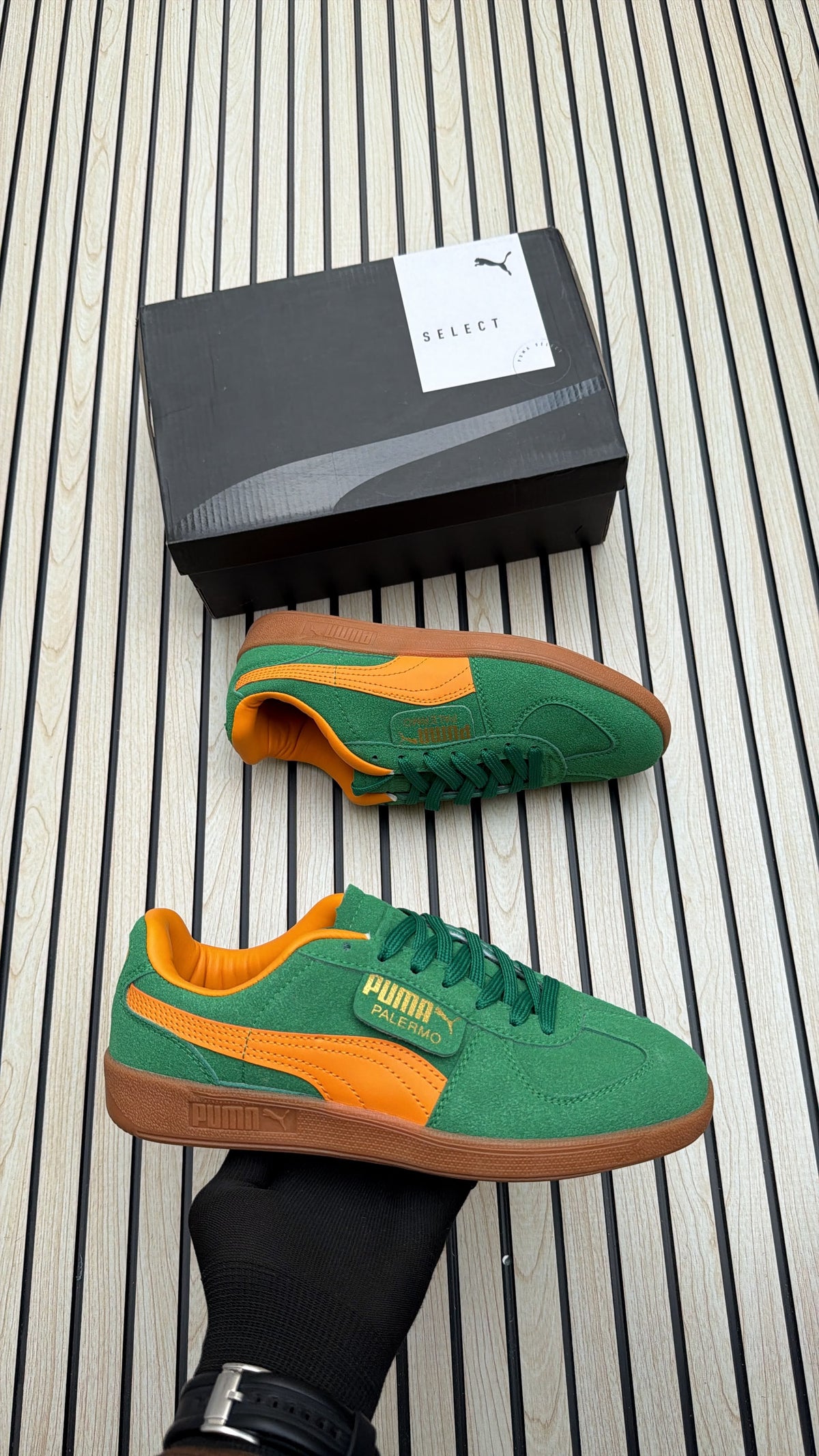 Puma palermo